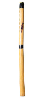 Small John Rotumah Didgeridoo (JW1489)